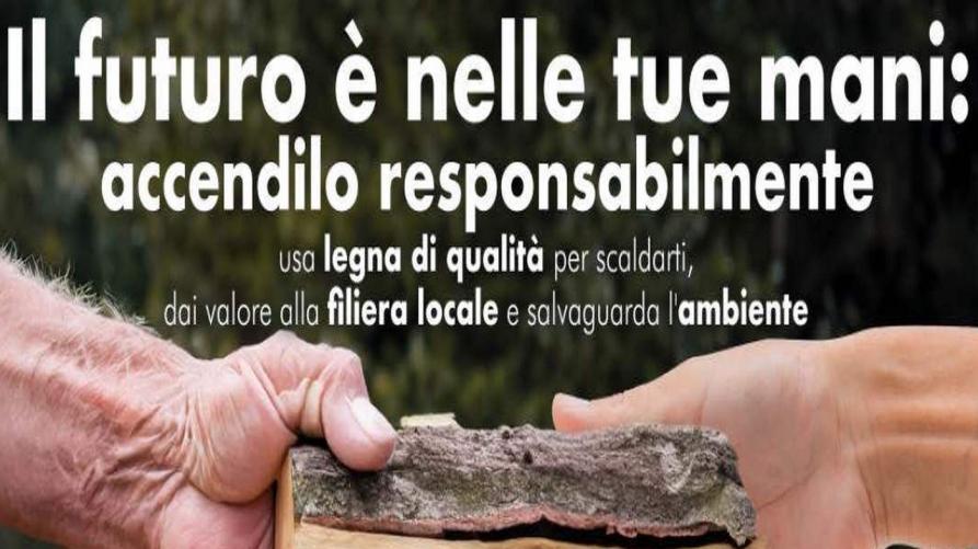 campagna_legna_interno