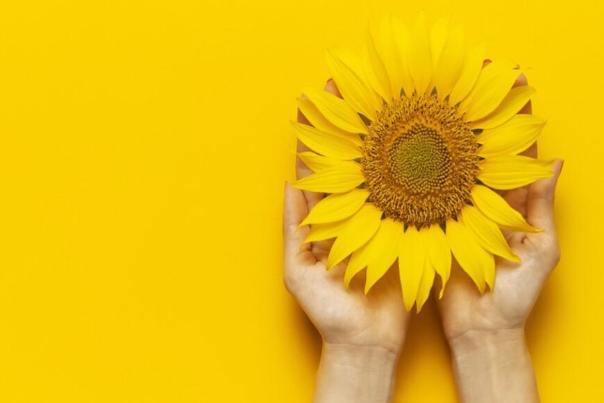 “Endometriosi: servono più consapevolezza, diagnosi precoci e formazione sanitaria. Siamo al fianco delle donne”