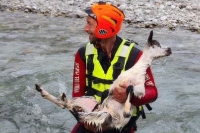 capra-nel-torrente-stronetta-1-22_05_25-copia-1
