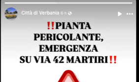 sito-comune-piante-pericolanti-1