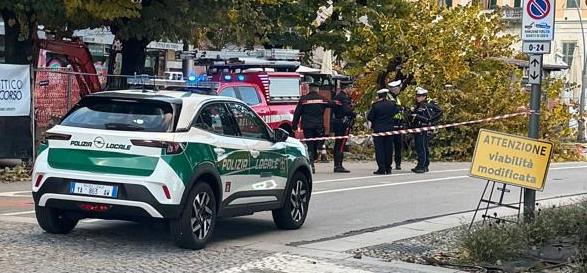 albero-caduto-a-intra-20_11_25-copia