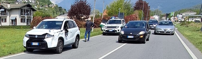 cervo-investito-tra-domo-e-villa-23_04_26-copia